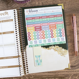 Celestial 2024 Hard Cover Planner