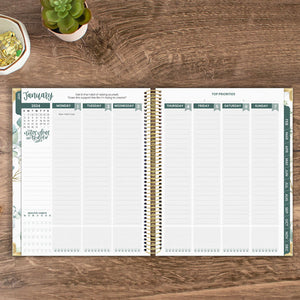 Eucalyptus 2024 Vision Planner