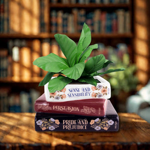 Jane Austin Stacked Books Planter