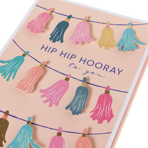 Hip Hip Hooray  Handmade Greeting Cards