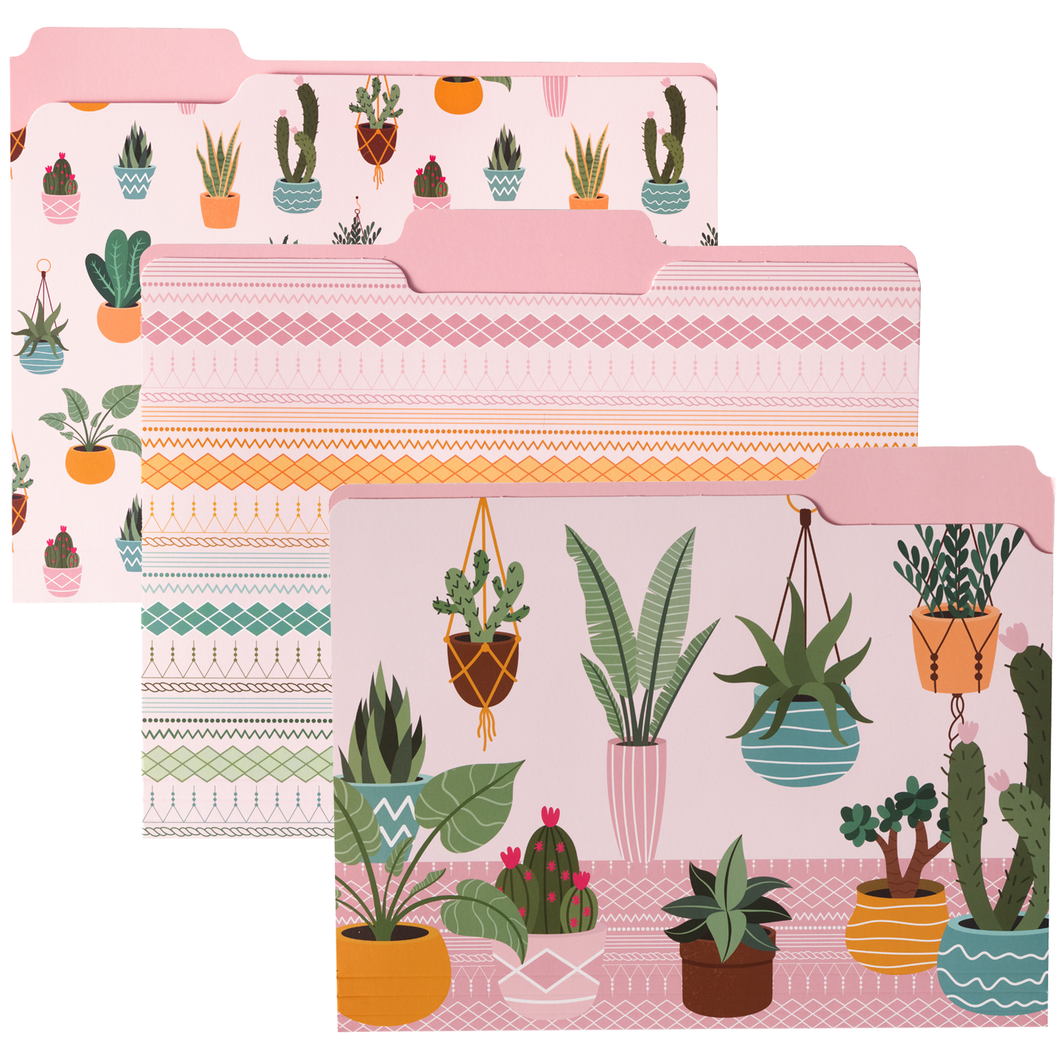 Succulents File Folders