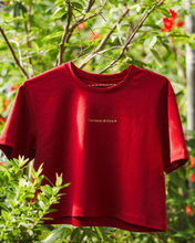 Load image into Gallery viewer, Curason Di Oro, Wine Red Crop Top
